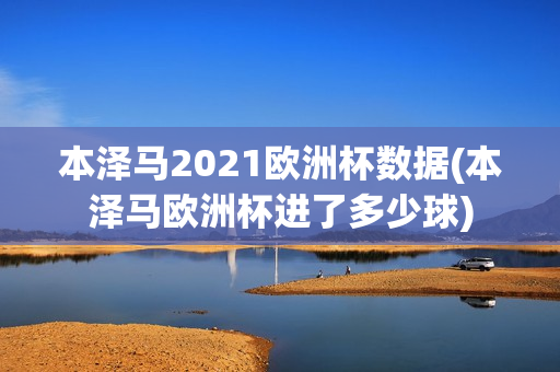 本泽马2021欧洲杯数据(本泽马欧洲杯进了多少球)